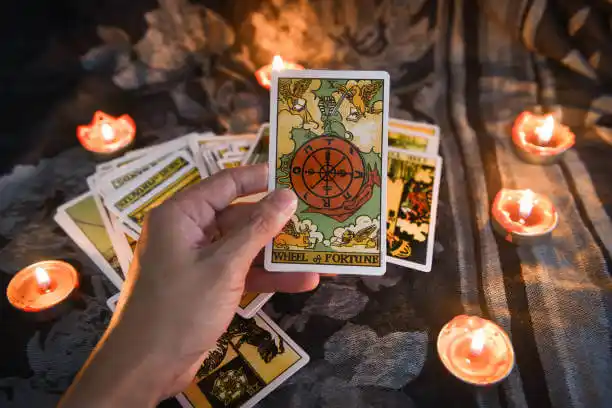 tarot cards Westvale